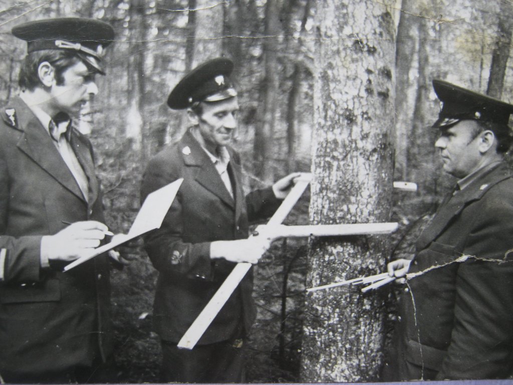 Відвод лісосіки майстер лісу Якимів Б.В., л-к Рибатчин С.В., Федорів Я.І.JPG Відвод лісосіки майстер лісу Якимів Б.В., л-к Рибатчин С.В., Федорів Я.І.JPG